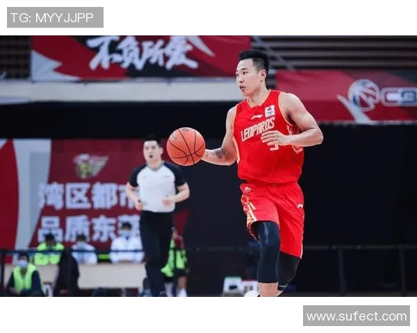 贺希宁：从篮球新星到职业生涯巅峰的成长之路与挑战